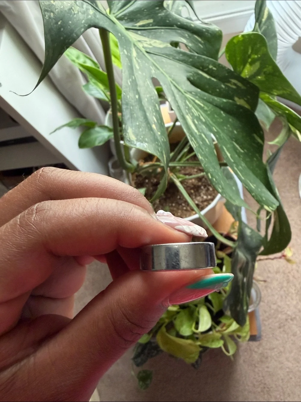 Oura Gen 3 Horizon Silver Ring